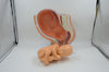 DELUXE PREGNANCY PELVIS MODEL