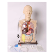 Tube Feeding Training Simulator